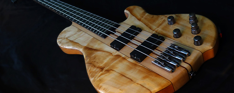 The Single Cutaway model | Deluxe version with birch burl
